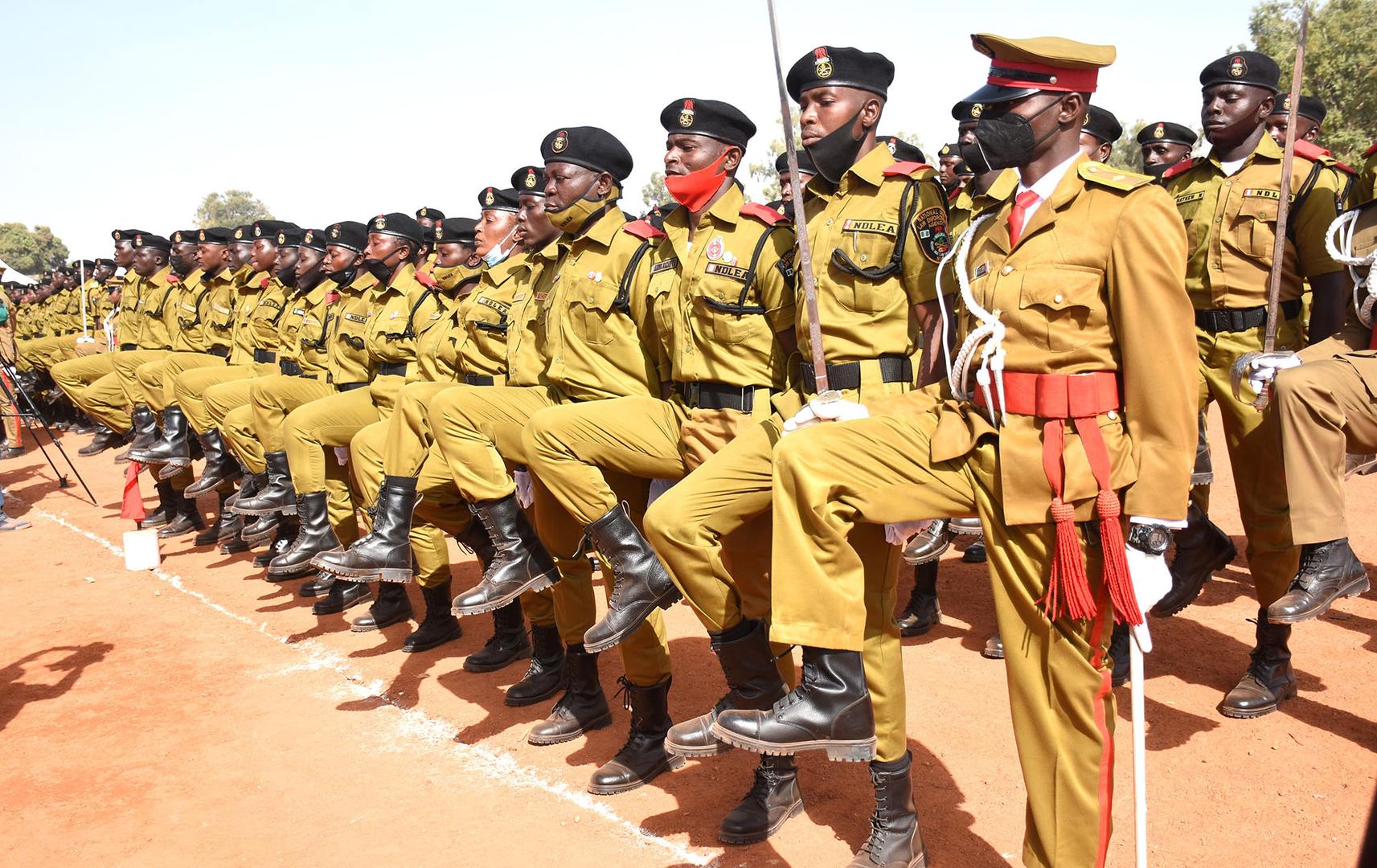 NDLEA List of Ranks and Symbols in Nigeria 2025