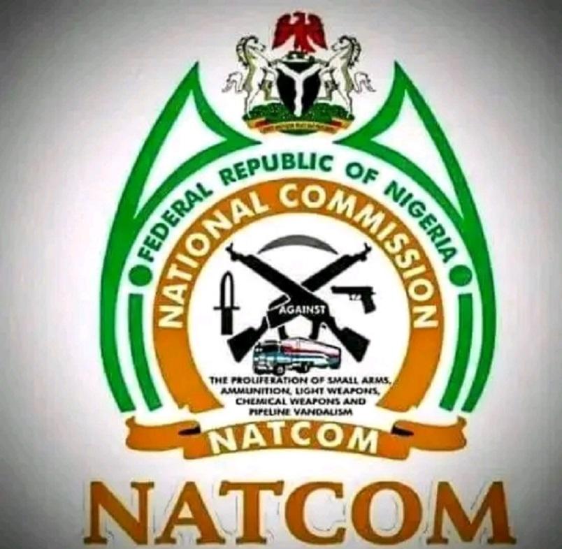 Natcom Nigeria Salary Structure and Allowance Pay 2025