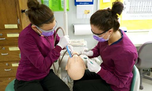 Free Online Dental Assistant Training Programs with Certificate in the USA (2025)