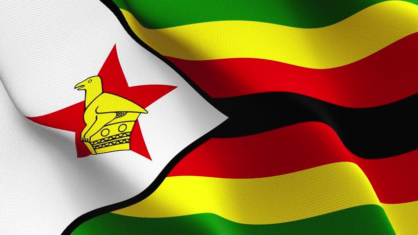 Top 10 Best Government Jobs in Zimbabwe and Their Monthly Salaries (2025)