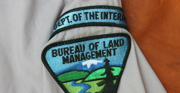 Bureau of Land Management Employee Salary by Level and Experience (2025)